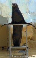 /album/animaux/photo-064-jpg/